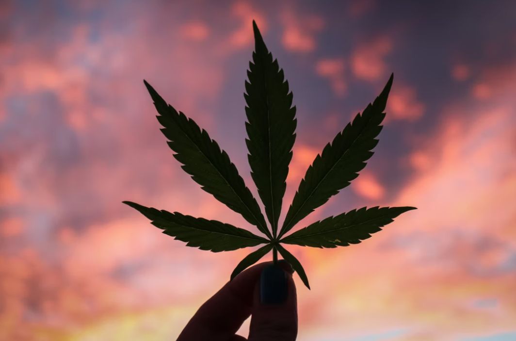 Can you smoke hemp and still get all the benefits?