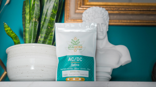 CBD Oil vs Hemp Oil: Which Should You Choose?