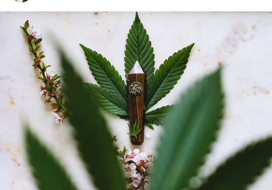 How long does CBD last?