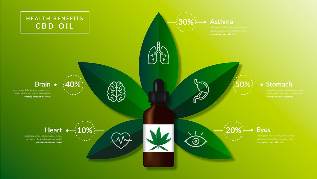 How long does CBD stay in your system