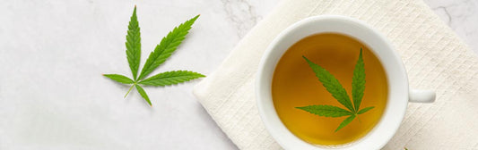 CBD Tea Make Your Cup of Pure Goodness