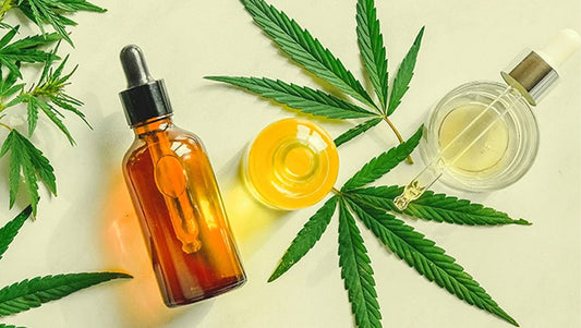 CBD vs. Hemp oil: 7 significant differences you may have never heard about