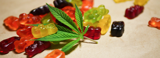 All That You Need to Know About Hemp Gummies vs. CBD Gummies
