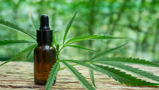 Does CBD Make You sleepy? Scientifically Busted 15 Myths about CBD